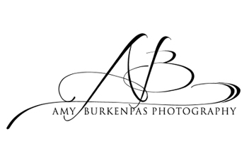 Wedding Photographer Amy Burkenpas Photography